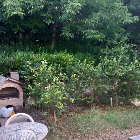 Apartman Turkana 2 SJJ Buitenkant foto