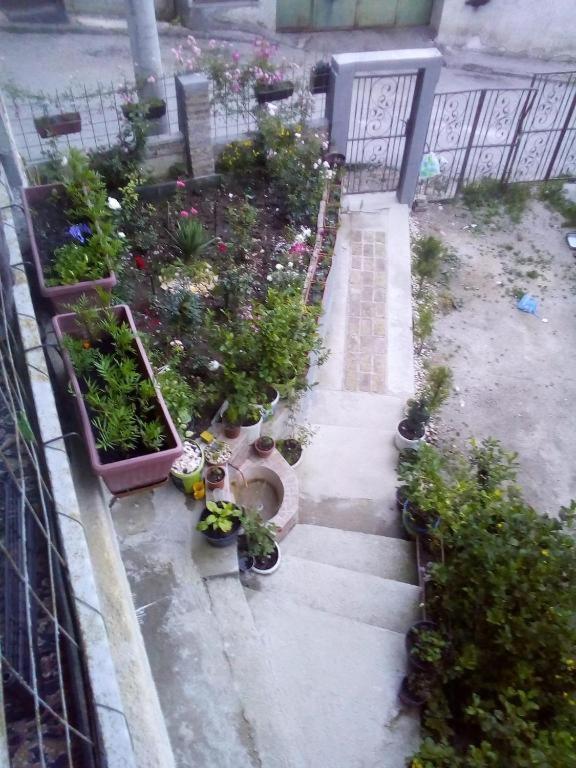 Apartman Turkana 2 SJJ Buitenkant foto